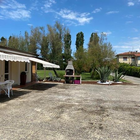 Podere Venanzio 利多迪卡马约雷 外观 照片
