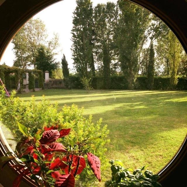 Podere Venanzio 利多迪卡马约雷 外观 照片