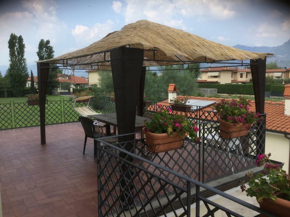 Podere Venanzio 利多迪卡马约雷 外观 照片